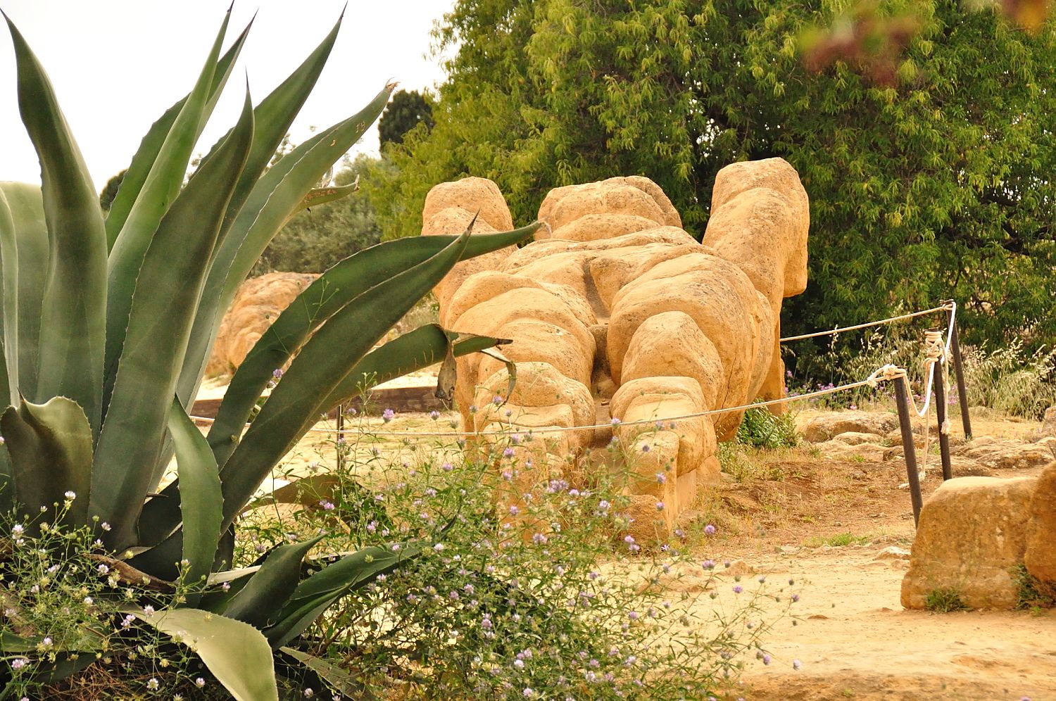  Agrigento Greek temples Valley 